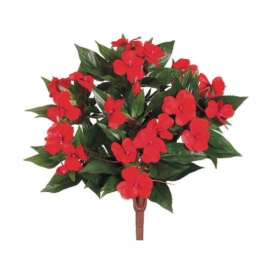 Tomato Red New Guinea Impatiens Bush